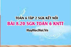 Bài 8.20 SGK Toán 6 tập 2 Kết nối tri thức